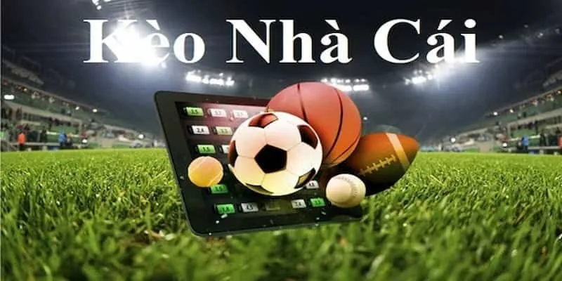Tổng hợp các hướng dẫn chi tiết về cách đọc kèo nhà cái